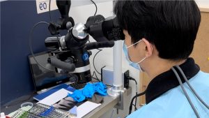 Mastering Endodontic Fundamentals