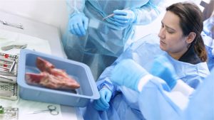 Mastering the Basics of Surgery