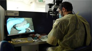 Veneers Fundamentals