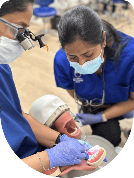 Tailored-Learning-Compressed